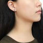 DA098 - High polished (no plating) Stainless Steel Earrings with AAA Grade CZ in Clear Default Title
