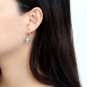 DA178 - High polished (no plating) Stainless Steel Earrings with AAA Grade CZ in Clear Default Title