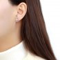 DA297 - High polished (no plating) Stainless Steel Earrings with AAA Grade CZ in Clear Default Title