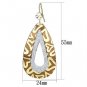 LO2732 - Gold Iron Earrings with Top Grade Crystal in Clear Default Title