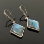 Natural LabradPave Diamond Earrings Sterling Silver Gemstone Earrings Gifts for Her Default Title