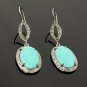 Natural SleepSterling Silver Gemstone Earrings Robin Egg Turquoise Earring 2'x0.65' Default Title