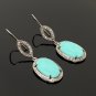 Natural SleepSterling Silver Gemstone Earrings Robin Egg Turquoise Earring 2'x0.65' Default Title