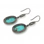 Natural SleepSterling Silver Gemstone Earrings Robin Egg Turquoise Earring 2'x0.65' Default Title