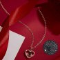 Preserved Red Real Rose with I Love You Necklace Mothers Day Gifts silver