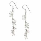 Sterling Silver Swarovski Elements Dangle Earrings E2979CRY