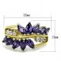 TK1568 - Two-Tone IP Gold (Ion Plating) Stainless Steel Ring with AAA Grade CZ in Amethyst