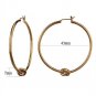 TK2853 - IP Coffee light Stainless Steel Earrings with No Stone Default Title