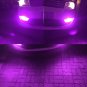 2pcs PurplePink H11 H8 H9 4014 chip For Car  Driving Fog Lights 92-SMD LED Bulbs