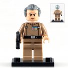 Grand Moff Tarkin Custom Star Wars Minifig Minifigure Block Brick Building Toys Gift