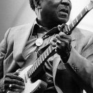 MUDDY WATERS "Live In Germany 1976 & 1978" DVD R