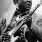 MUDDY WATERS "Live In Germany 1976 & 1978" DVD R
