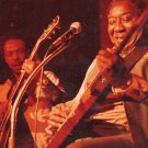 MUDDY WATERS "Live In Usa 1981 / 1979" DVD R MUDDY WATERS "Live In Usa 1981 / 1979" DVD R