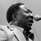 MUDDY WATERS "Live At The Forum 1978...& More" DVD R MUDDY WATERS "Live At The Forum 1978...& More" DVD R