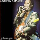 MUDDY WATERS "Torino 1976 + Rare Footage Montreux 1977" DVD R MUDDY WATERS "Torino 1976 + Rare Footage Montreux 1977" DVD R
