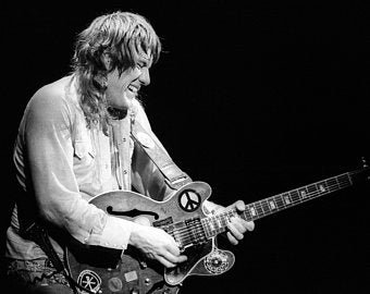 ALVIN LEE & Ten Years Later "Winterland, Sf May 19, 1978" DVD R
