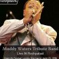 MUDDY WATERS Tribute Band "Loreley Festival 1996" DVD R