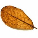 ALMOND  LEAVES