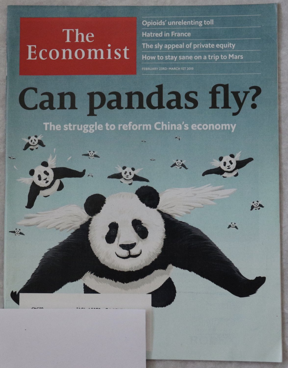 The Economist Magazine February 2019 China`s Economy Struggle