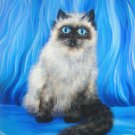 Bicolor Himalayan Cat with blue eyes. Painting by Sofia Goldberg. Original