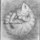 Sleeping cutie. Little kitten. Original drawing on paper. By Sofia Goldberg
