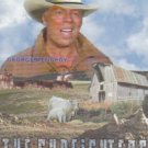Gunfighters (2004, DVD)