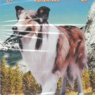 Lassie - The Painted Hills (2004, DVD)