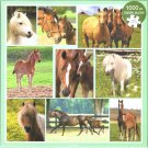 Otter House 1000 Piece Puzzle - Horses
