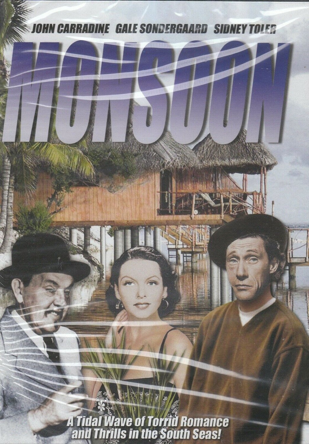 Monsoon (2004, DVD)