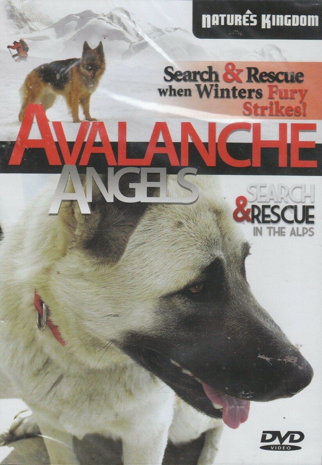 Avalanche Angels (DVD, 2009)