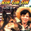 The Return of Rin Tin Tin (DVD, 2006)