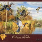 Autumn Shades 1000 Piece Puzzle Puzzle