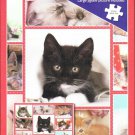 Otter House 1000 Piece Puzzle - Cute Kittens