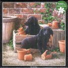Otter House 1000 Piece Puzzle - Bill and Ben