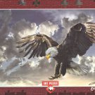 Black and White 500 Piece Puzzle - Owen Francis Bell