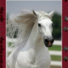 White 500 Piece Puzzle - Bob Langish