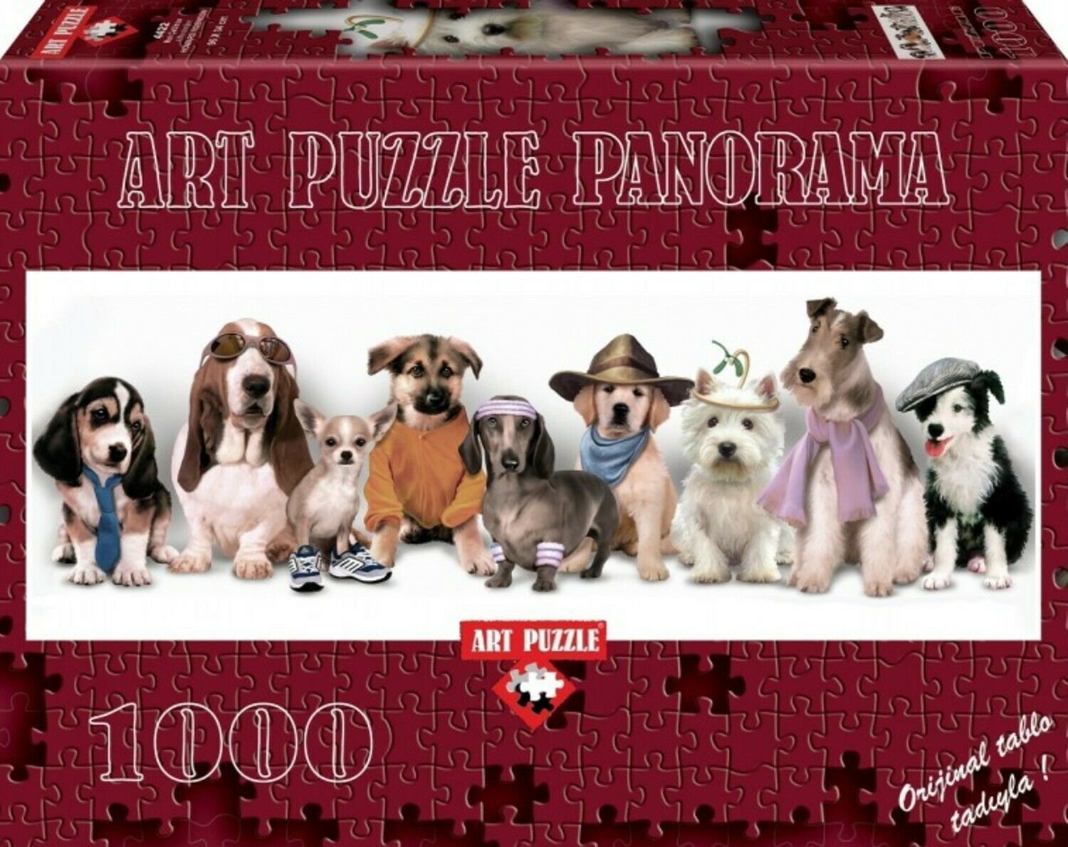 Affectation Panoramic 1000 Piece Puzzle - Howard Robinson
