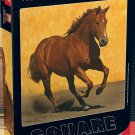 Anatolian Puzzle 1024 Piece - Adobe Run III - Robert Dawson