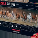 Anatolian Puzzle 1000 Piece - Free Time Panoramic - Kim Penner