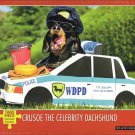 Crusoe the Celebrity Dachshund 1000 Piece Puzzle