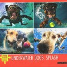 Underwater Dogs: Splash 1000 Piece Puzzle - Seth Casteel