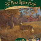 Moment Before Gone 550 Piece Puzzle - Hayden Lambson