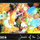 Jewel Of The Sea: Coral Garden 1000 Piece Puzzle