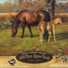 Proud Heritage 1000 Piece Puzzle - Hayden Lambson