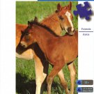 Friends 500 Piece Puzzle