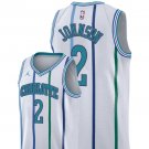 Men/Youth's charlotte hornets #2 swingman larry johnson white jersey