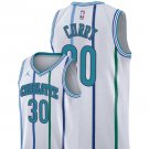 Men/Youth's charlotte hornets #30 dell curry white jersey swingman