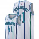 Men/Youth's charlotte hornets #41 swingman glen rice white jersey