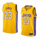 Men/Youth's lebron james #23 los angeles lakers swingman icon edition jersey