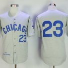 Men/Youth's Chicago Cubs #23 Ryne Sandberg Gray 1969 Throwback Jersey